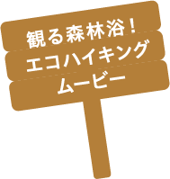 観る森林浴！エコハイキングムービー