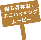 観る森林浴！エコハイキングムービー