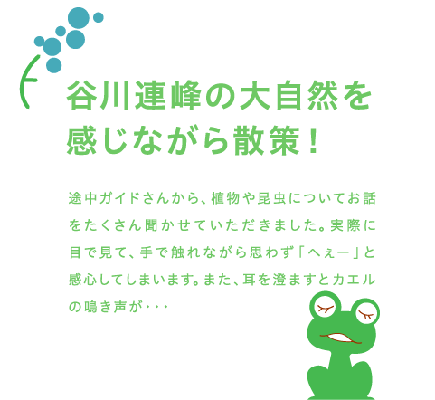 谷川連峰の大自然を感じながら散策！途中ガイドさんから、植物や昆虫についてお話をたくさん聞かせていただきました。実際に目で見て、手で触れながら思わず「へぇー」と感心してしまいます。また、耳を澄ますとカエルの鳴き声が・・・