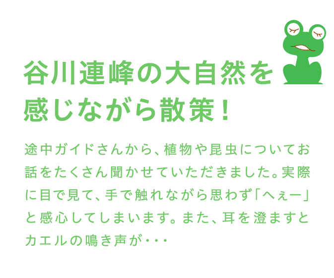 谷川連峰の大自然を感じながら散策！途中ガイドさんから、植物や昆虫についてお話をたくさん聞かせていただきました。実際に目で見て、手で触れながら思わず「へぇー」と感心してしまいます。また、耳を澄ますとカエルの鳴き声が・・・