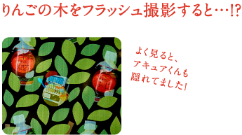 りんごの木をフラッシュ撮影すると…！？よく見ると、アキュアくんも隠れてました！