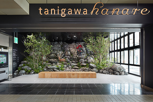 tanigawa hanare開設