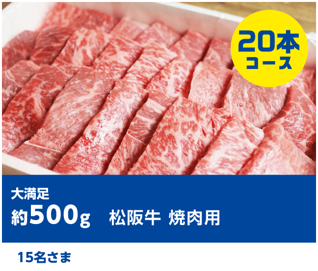 大満足 約500g 松阪牛 焼肉用 15名さま