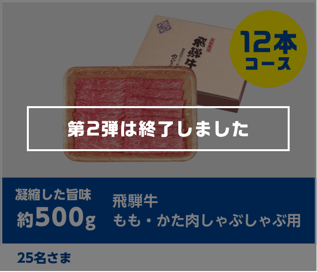 凝縮した旨味 約500g 飛騨牛 もも・かた肉しゃぶしゃぶ用 25名さま