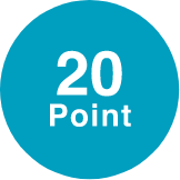 20 Point