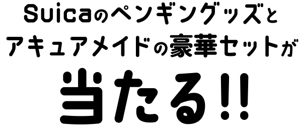 Suicaのペンギングッズとアキュアメイドの豪華セットが当たる!!