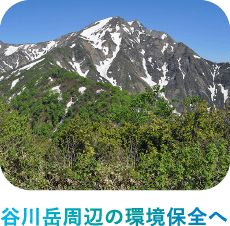 谷川岳周辺の環境保全へ