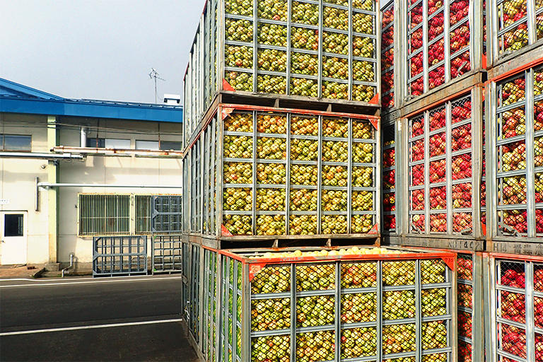 〈第3回 りんご通信〉りんごを追ってジュース製造工場に潜入！採れたて果実のおいしさを閉じ込める