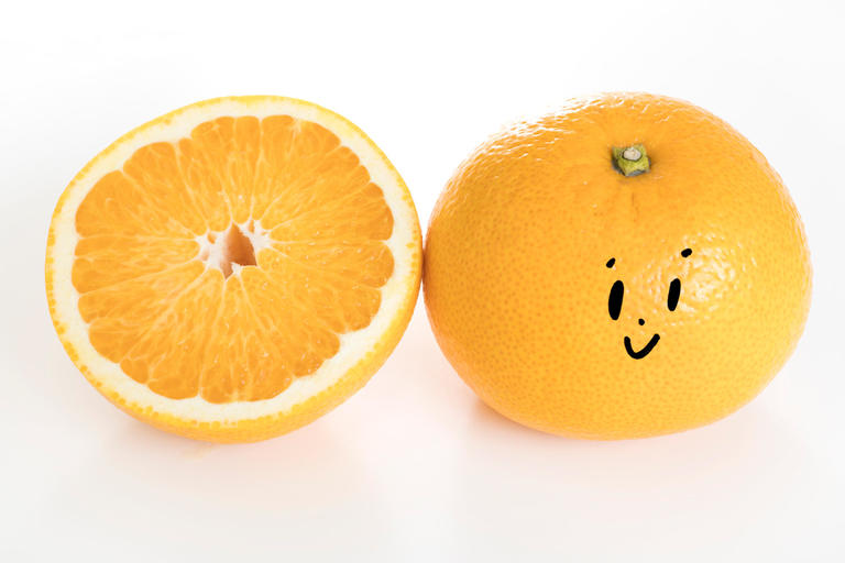 はっさく、甘夏、ぽんかん......そっくり柑橘系フルーツたち、どう違う？