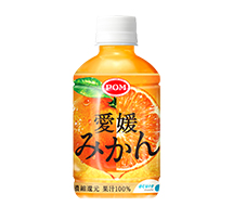 愛媛みかん
