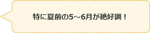 特に夏前の5～6月が絶好調！