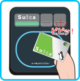 Suicaを「ピピッ」と音が鳴るまでしっかりタッチしてください。