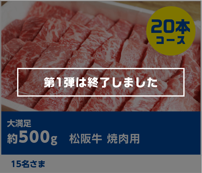 大満足 約500g 松阪牛 焼肉用 15名さま