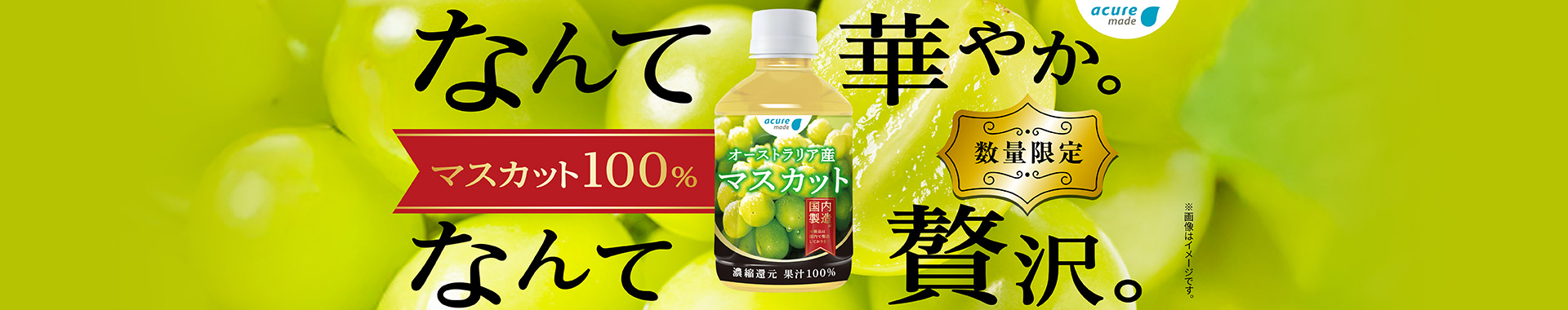 オーストラリア産マスカット100%