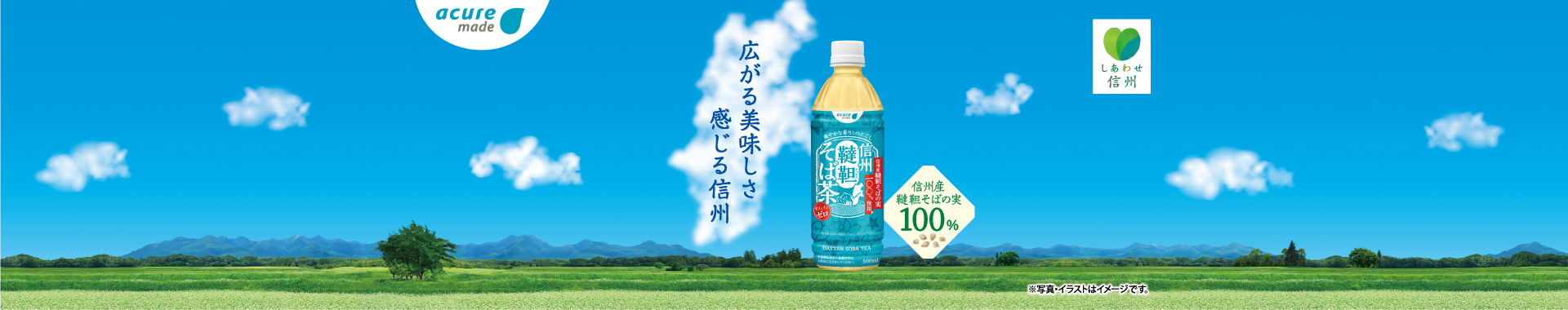 信州韃靼そば茶