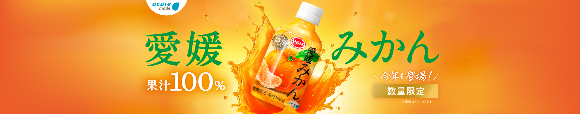 愛媛みかん