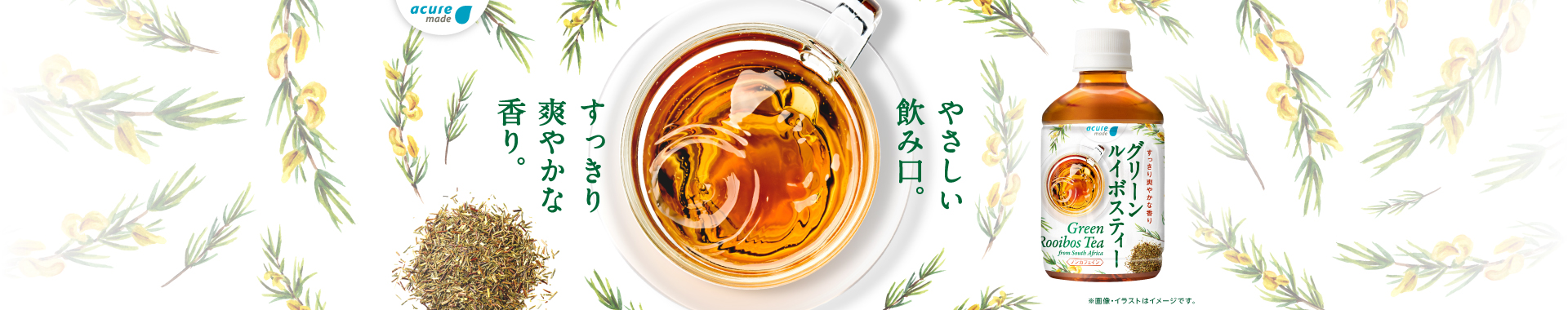 グリーンルイボスティー
