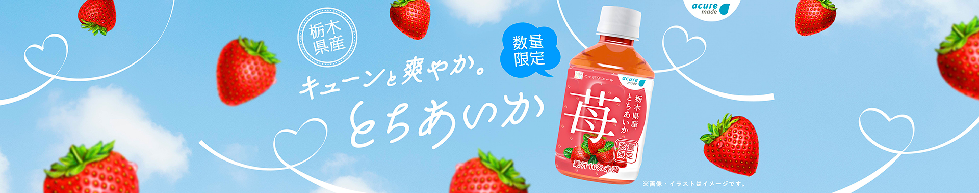 栃木とちあいか 苺