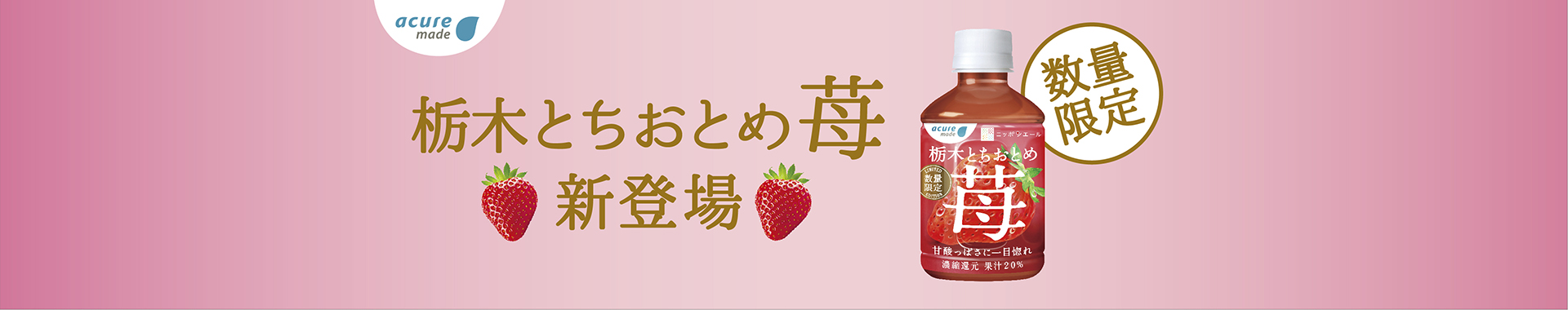 栃木とちおとめ 苺