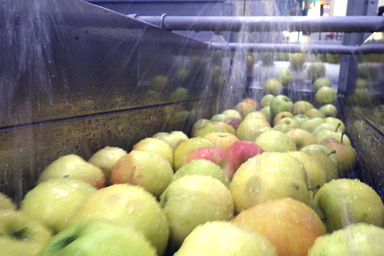 〈第3回 りんご通信〉りんごを追ってジュース製造工場に潜入！採れたて果実のおいしさを閉じ込める