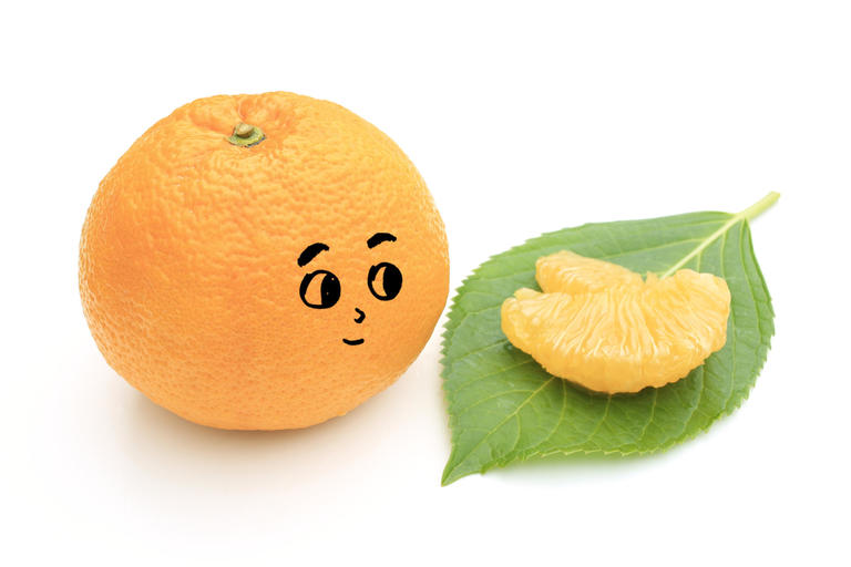 Hassaku, Kanatsu, Ponkan ... how exactly are the citrus fruits?
