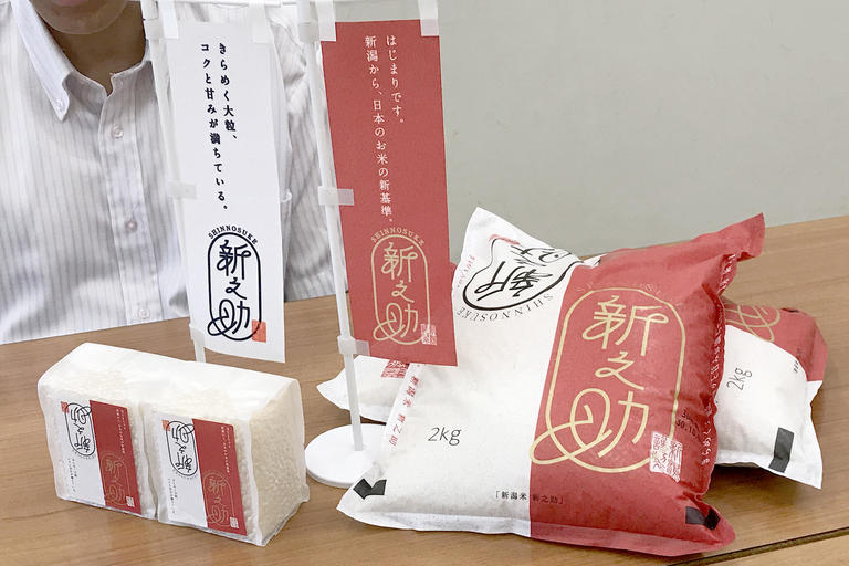 A new era of rice born of Niigata tradition and innovation <Shinnosuke>