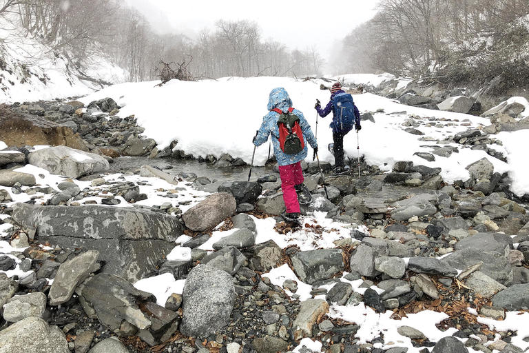 ＜はじめてのスノーシュー＞自然豊かな谷川岳の冬を歩こう！