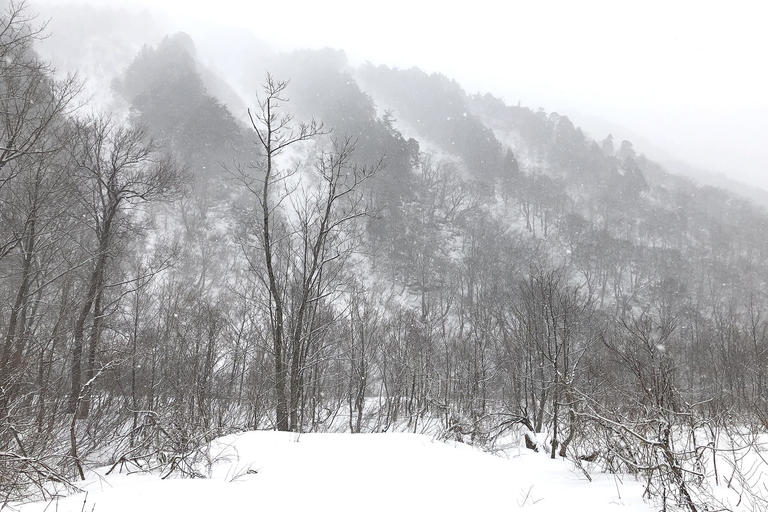 ＜はじめてのスノーシュー＞自然豊かな谷川岳の冬を歩こう！