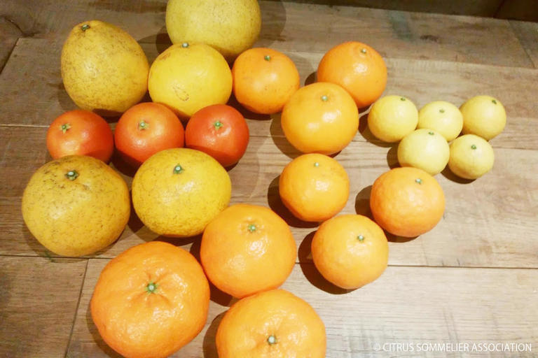 種類 柑橘類