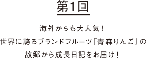 海外からも大人気!世界に誇るブランドフルーツ『青森りんご』の故郷から成長日記をお届け!