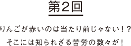 りんごが赤いのは当たり前じゃない!?そこには知られざる苦労の数々が!