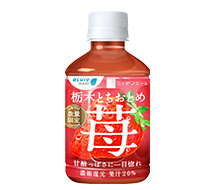 栃木とちおとめ 苺
